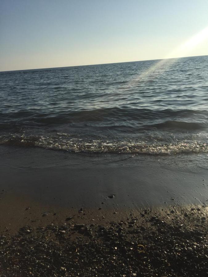 Mare Toscano Leilighet Riparbella Eksteriør bilde