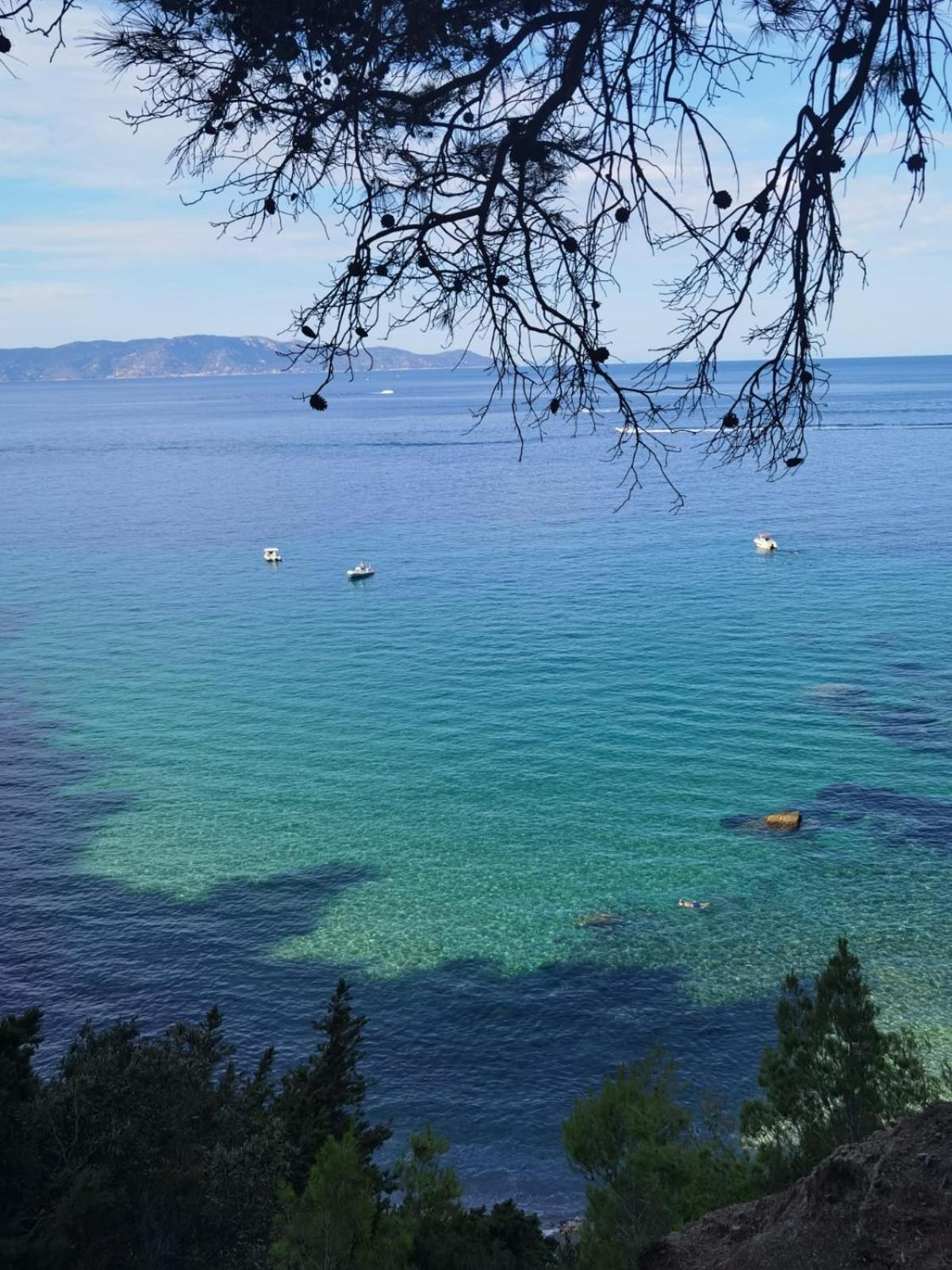 Mare Toscano Leilighet Riparbella Eksteriør bilde
